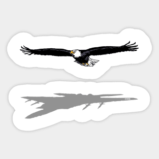 Flying Eagle Sticker